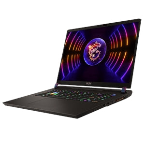 MSI Vector GP78 HX GP78 HX 13VI-294TAA 17.3 Gaming Notebook-QHD+-Intel Core i9